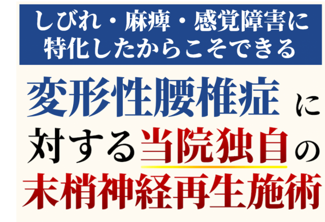 変形性腰椎症に対する末梢神経再生施術