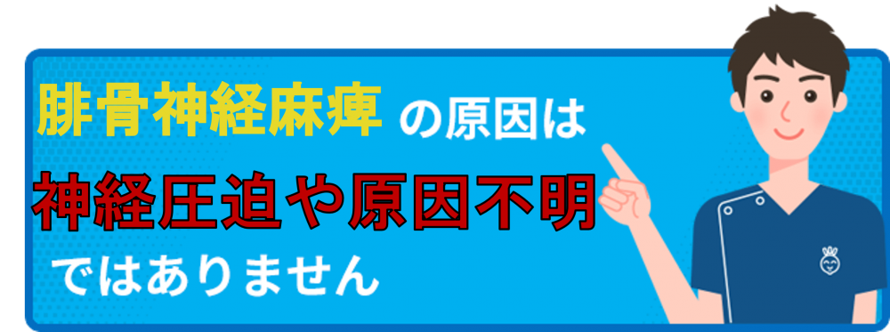 腓骨神経麻痺の原因は神経圧迫や原因不明ではありません