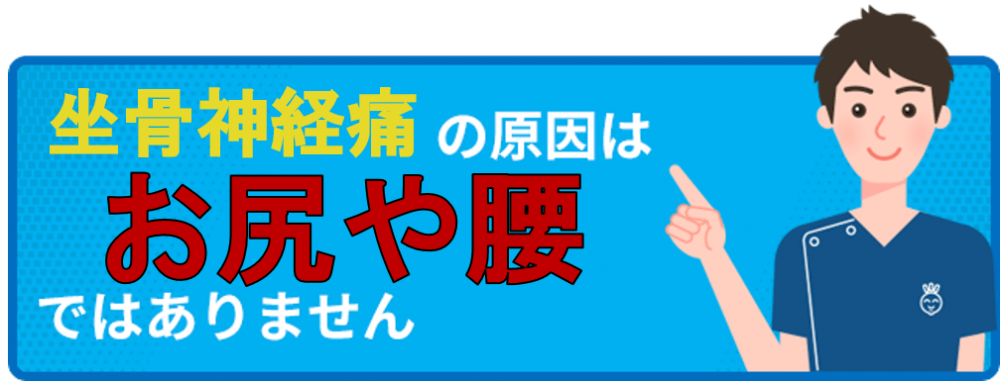 坐骨神経痛の原因はお尻や腰ではありません