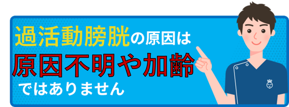 過活動膀胱の原因は原因不明や加齢ではありません